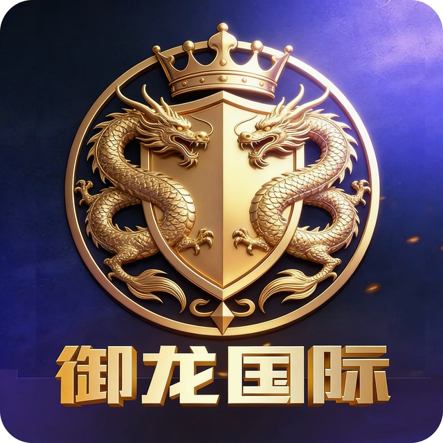 御龙国际